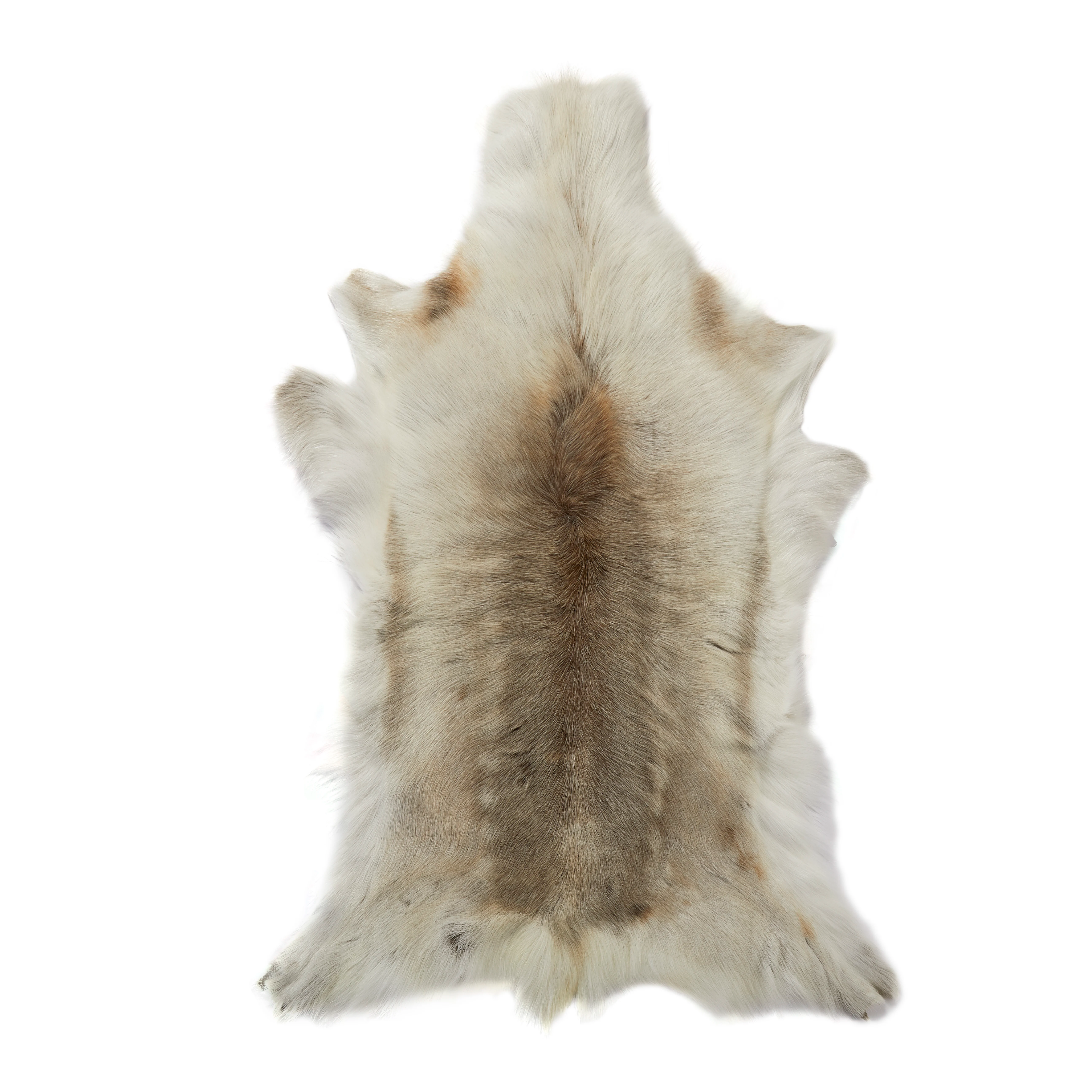 Light Coloured Reindeer Hide