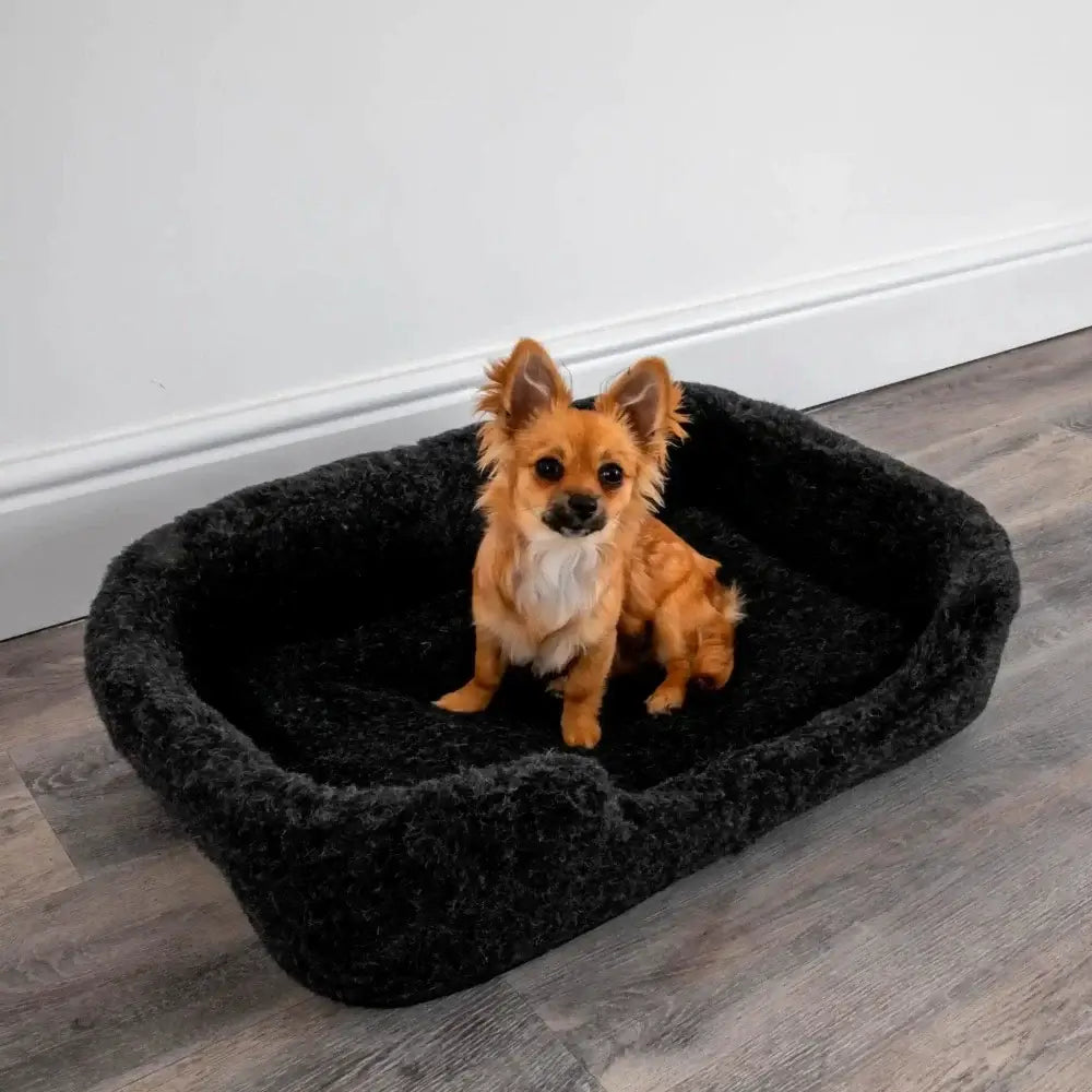 Merino Wool Pet Bed - Black (S/M)