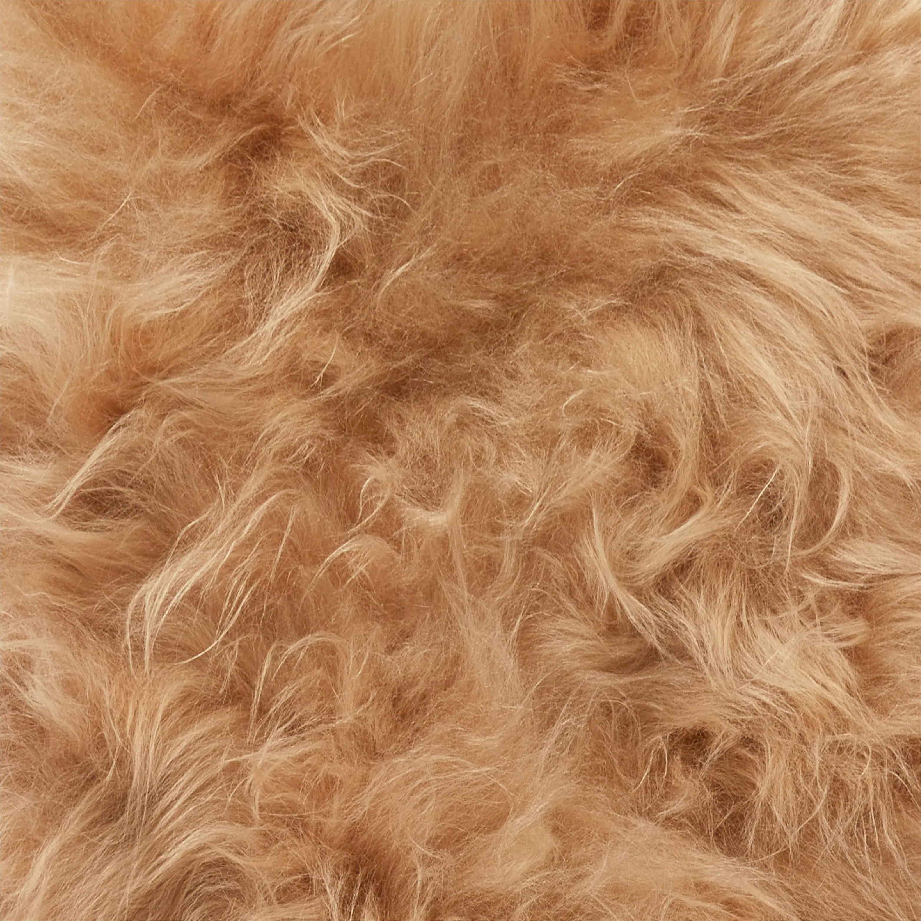 Cappuccino Icelandic Sheepskin Rug