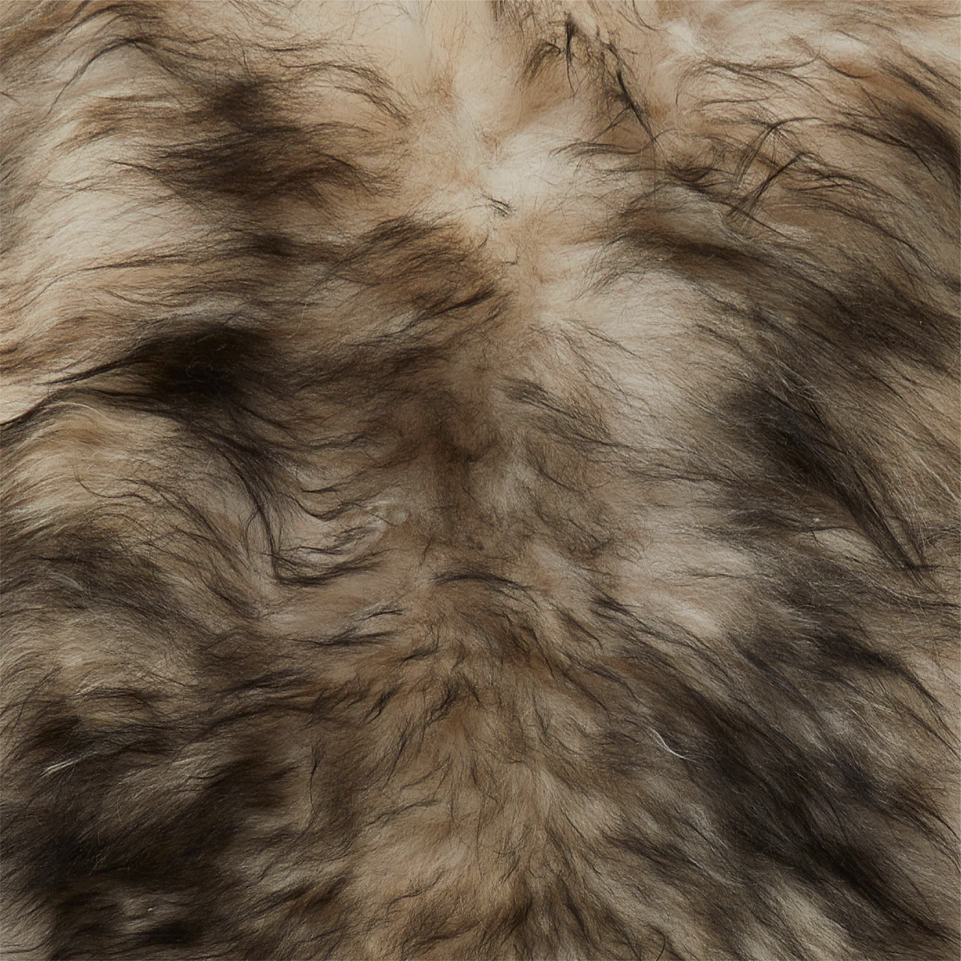 Black Tipped Icelandic Sheepskin Rug