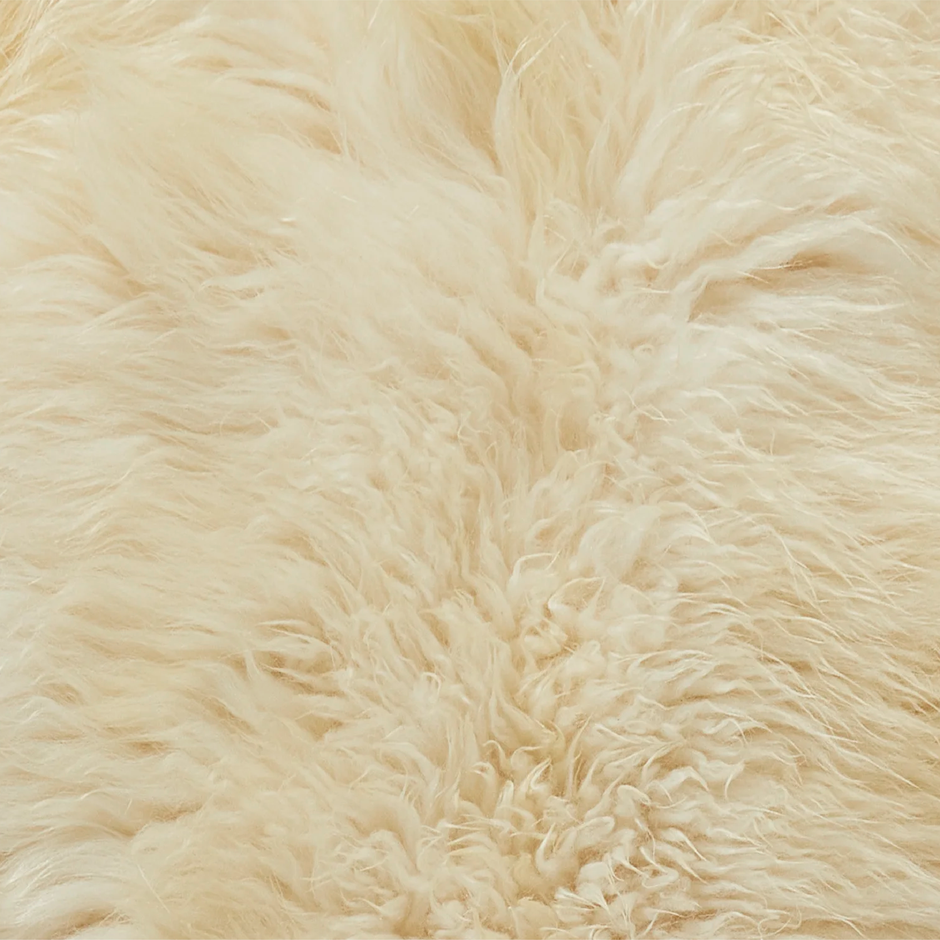 Ivory White Curly Icelandic Sheepskin Rug