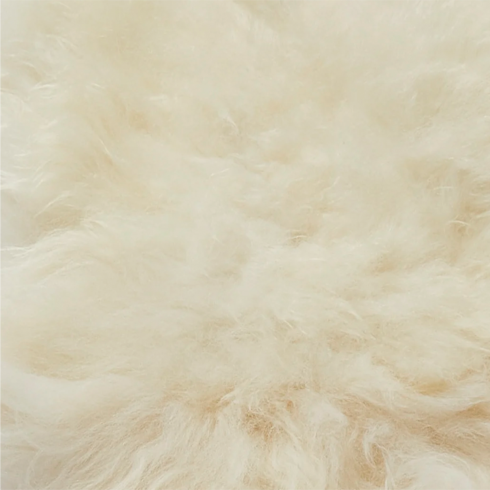 Ivory White Icelandic Sheepskin Rug