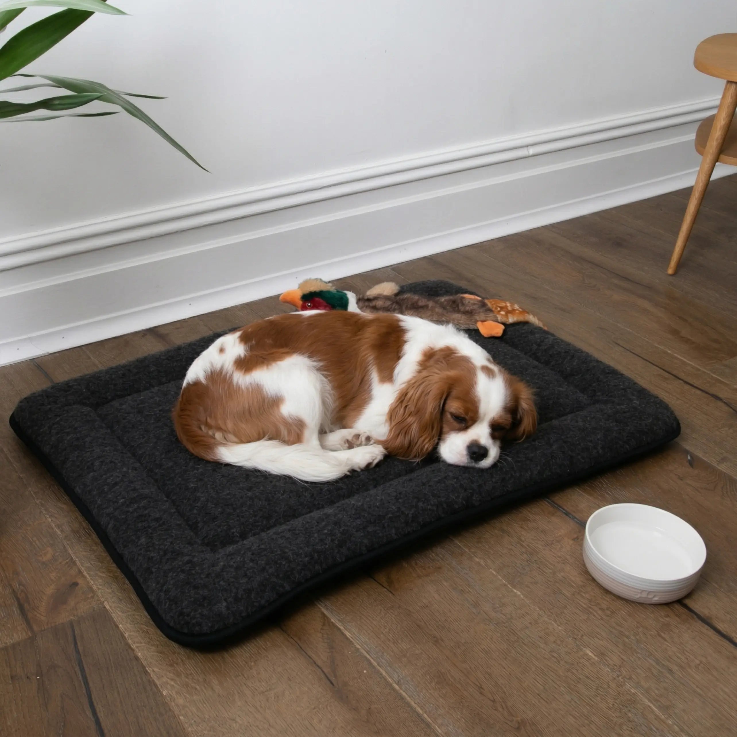 Black Wool Pet Mat