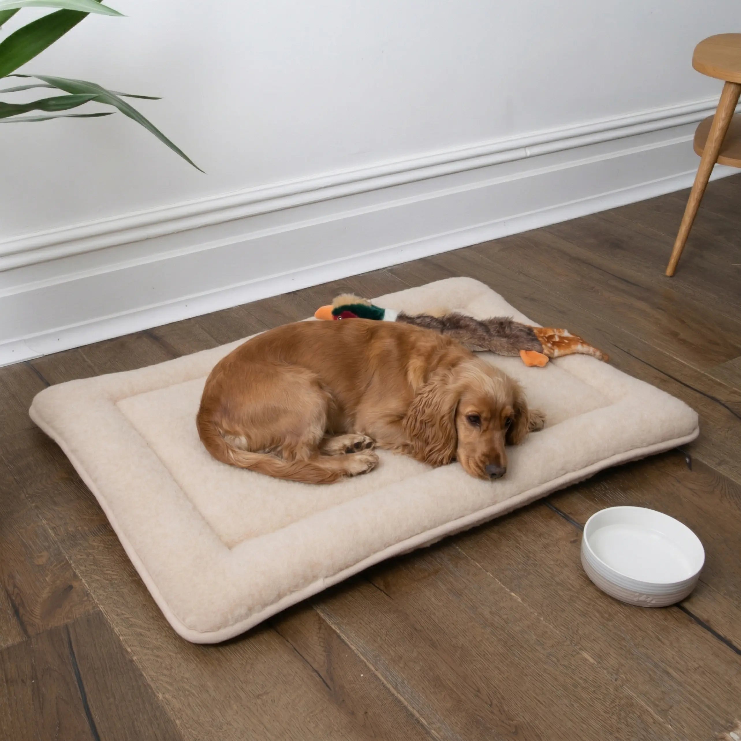 Cappucino Wool Pet Mat