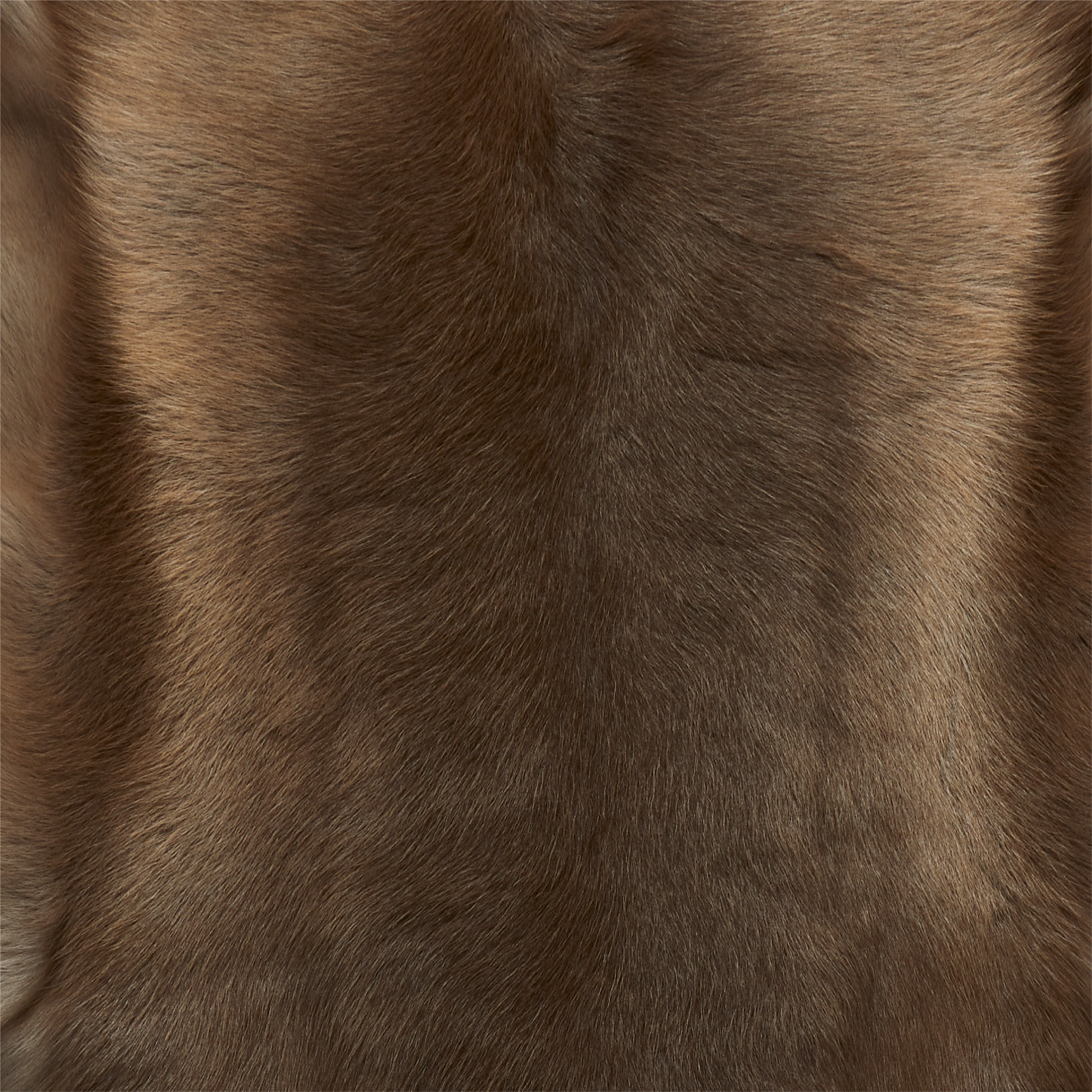 Dark Coloured Reindeer Hide