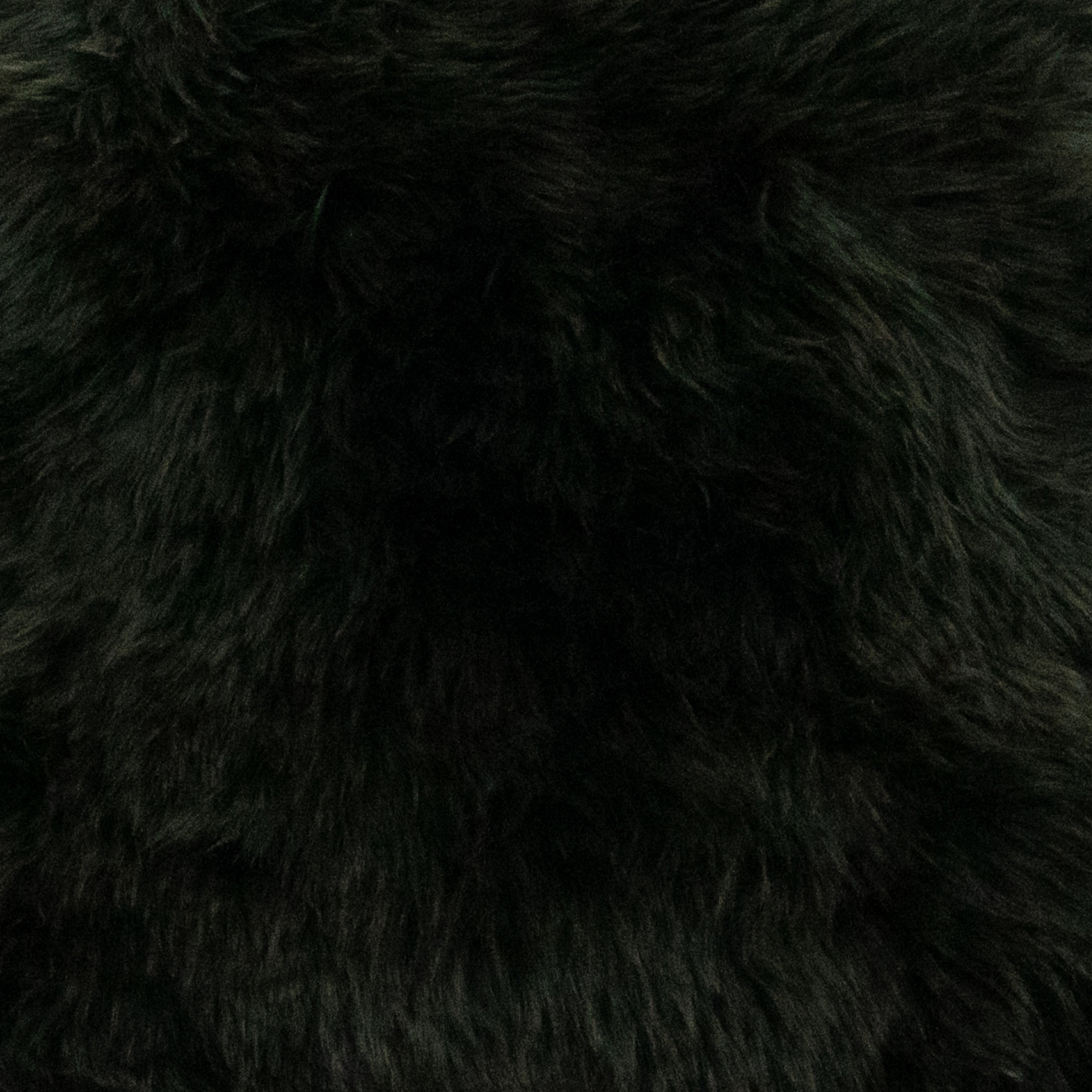 Forest Green Double Sheepskin Rug