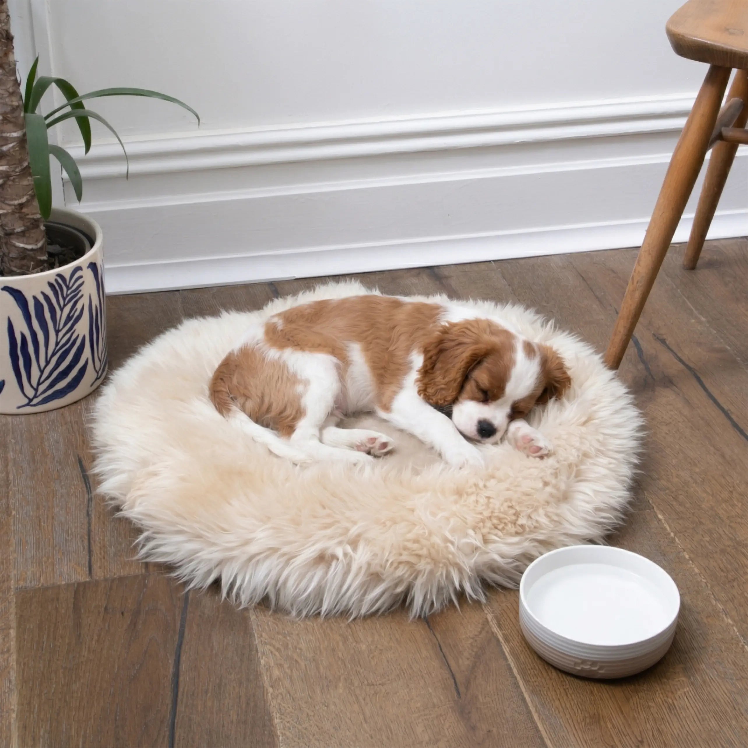 Small Sheepskin Pet Bed - 50cm