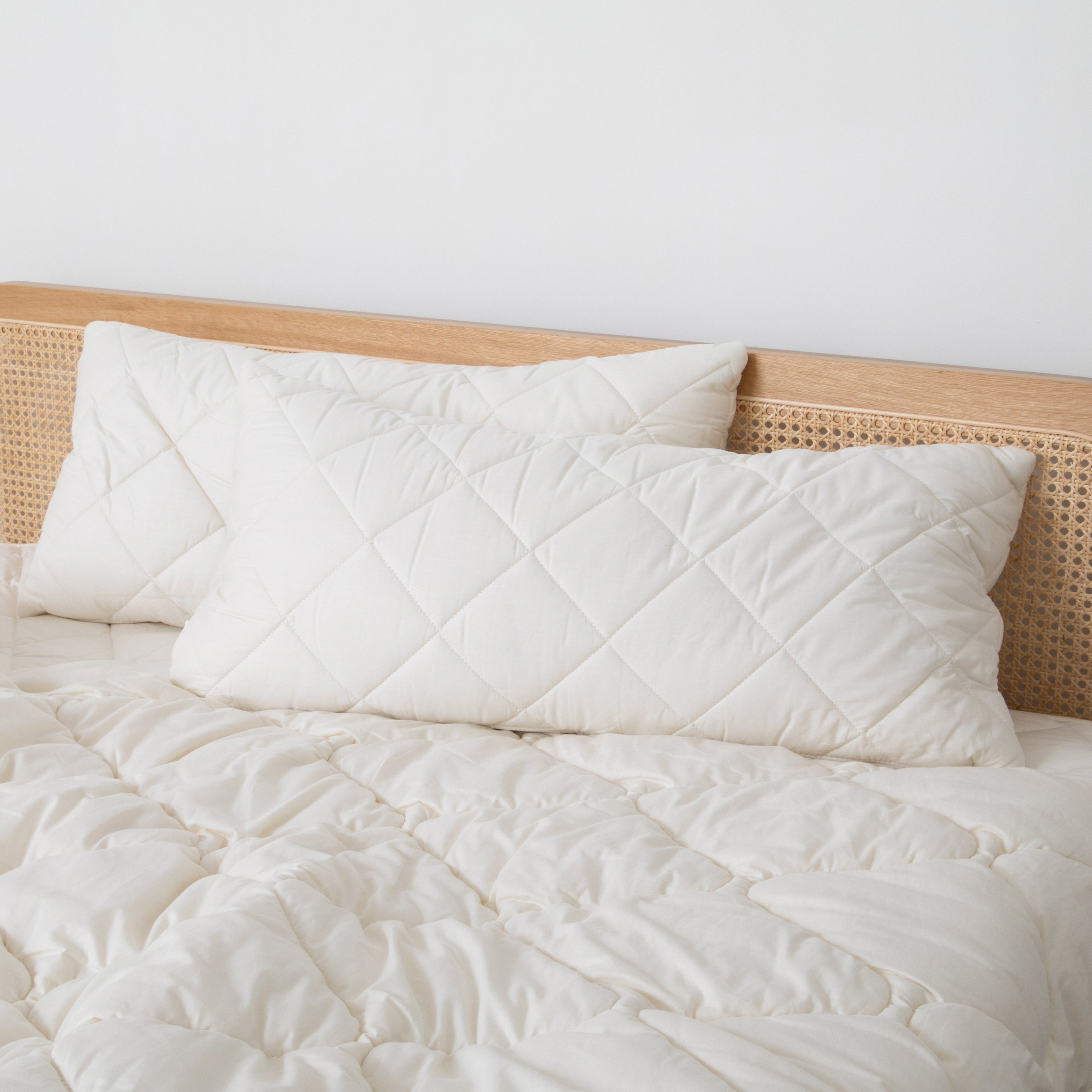 Wool Filled Pillow (set of 2)