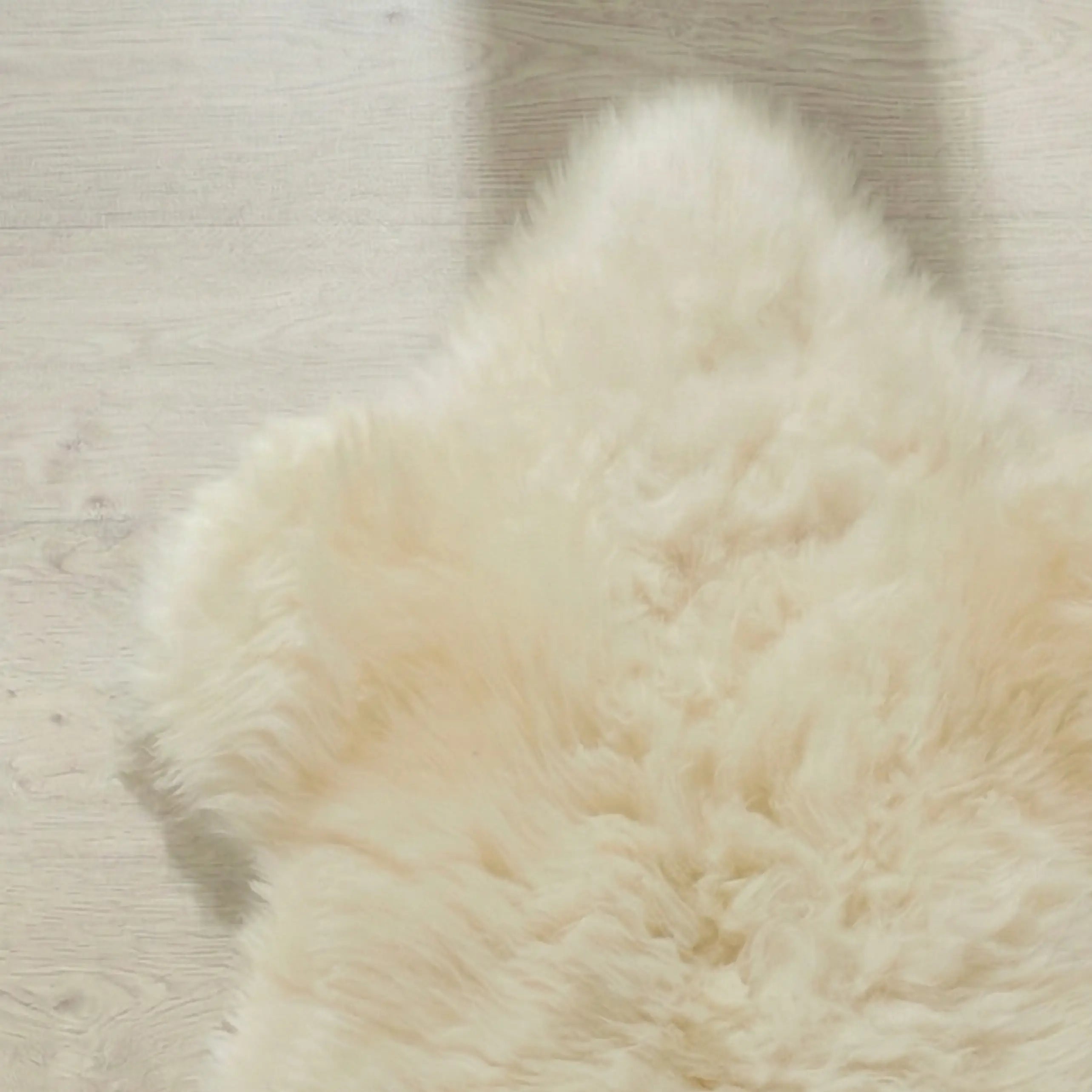 Ivory White British Sheepskin Rug