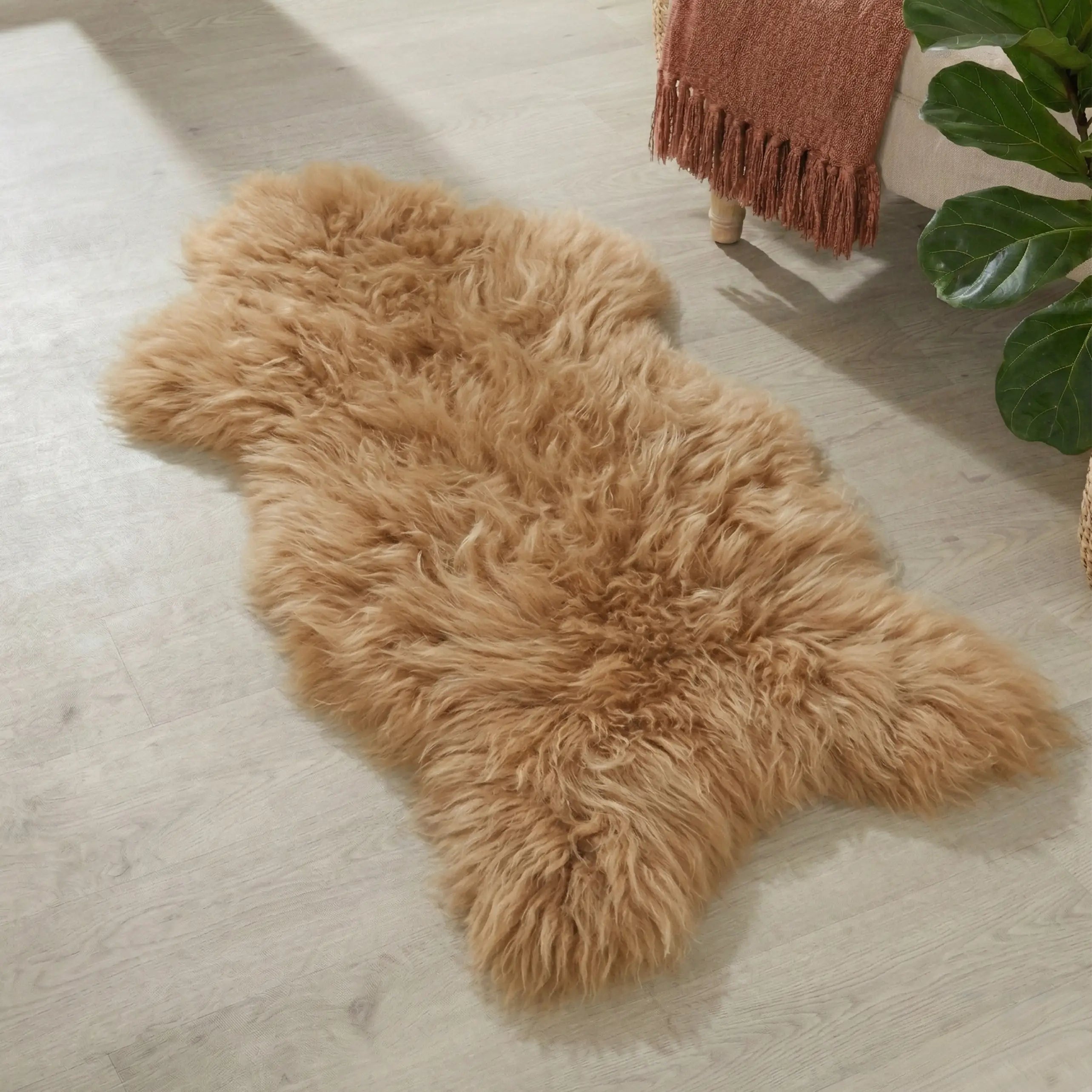 Cappuccino Icelandic Sheepskin Rug