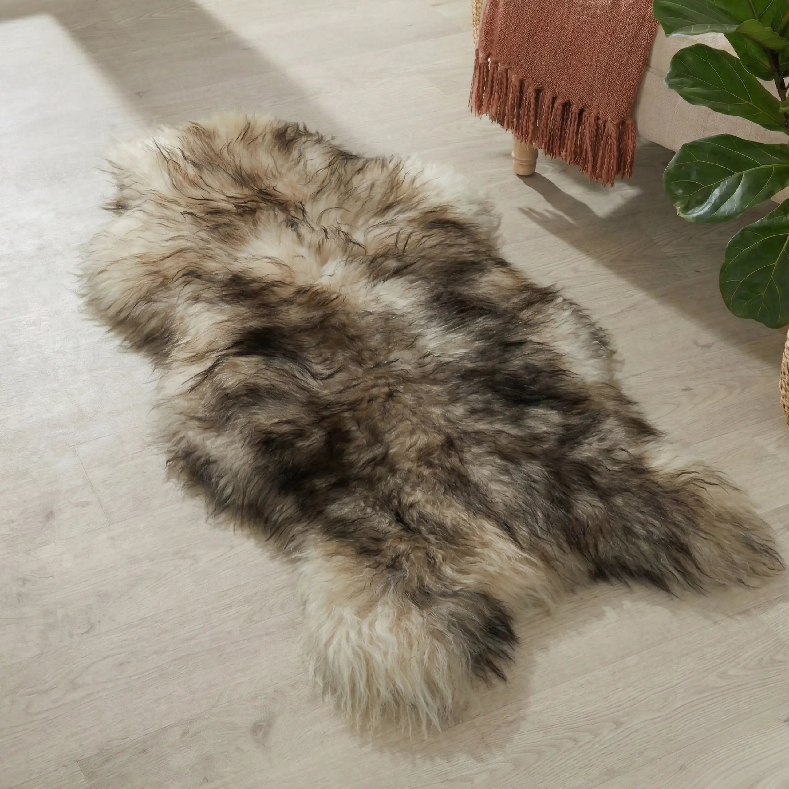 Black Tipped Icelandic Sheepskin Rug