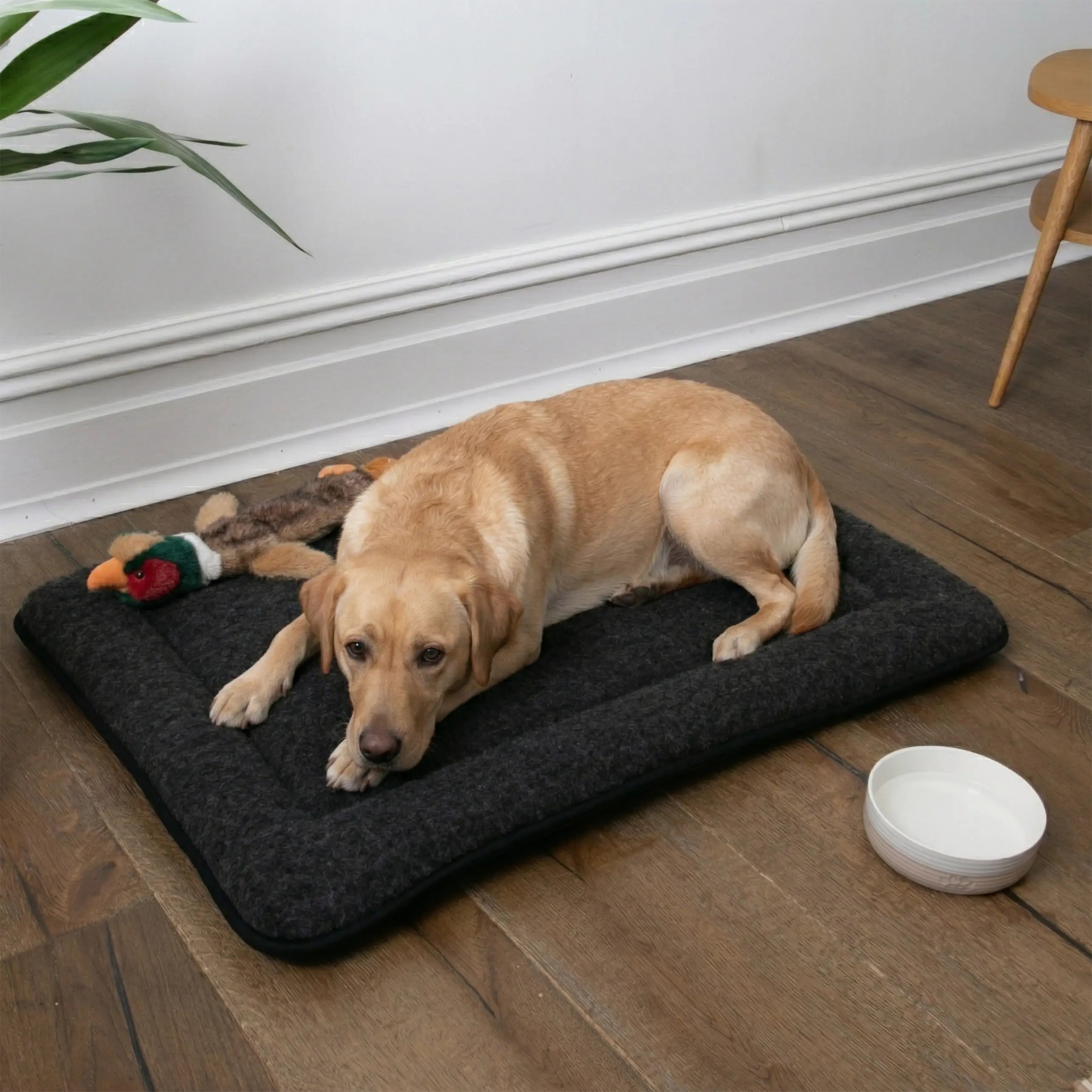 Black Wool Pet Mat
